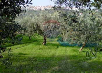 Terreno edificabile Monteodorisio - foto 3