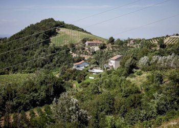 Vista - Rustic strada Albera, Castel Boglione - photo 20
