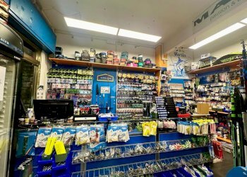 Commercial Activity Pesca Via Soccorso, Pietra Ligure - photo 1