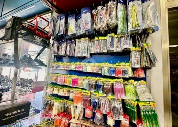 Commercial Activity Pesca Via Soccorso, Pietra Ligure - photo 13