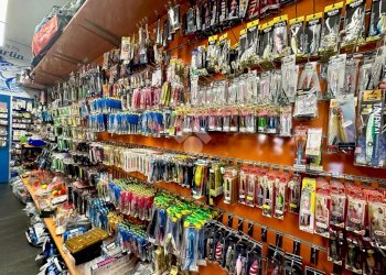 Commercial Activity Pesca Via Soccorso, Pietra Ligure - photo 16