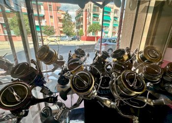 Commercial Activity Pesca Via Soccorso, Pietra Ligure - photo 19