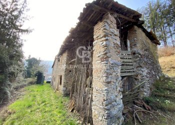 Terreno agricolo Provaglio Val Sabbia - foto 5