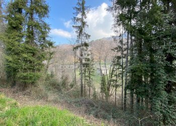 Terreno agricolo Provaglio Val Sabbia - foto 9