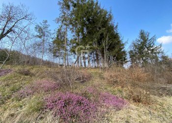 Terreno agricolo Provaglio Val Sabbia - foto 12
