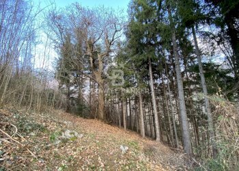 Terreno agricolo Provaglio Val Sabbia - foto 19