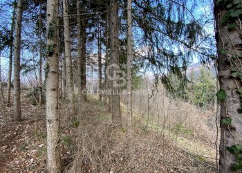 Terreno agricolo Provaglio Val Sabbia - foto 21