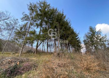 Terreno agricolo Provaglio Val Sabbia - foto 23