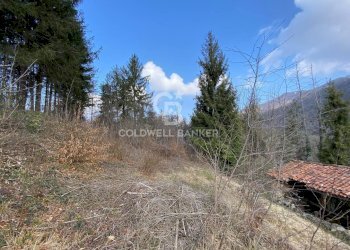 Terreno agricolo Provaglio Val Sabbia - foto 24