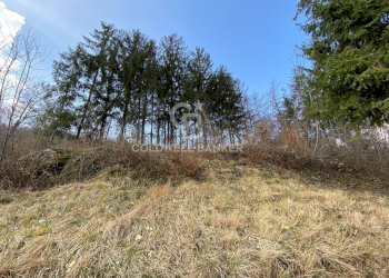 Terreno agricolo Provaglio Val Sabbia - foto 28