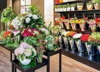 Shop viale Vittorio Veneto, Milano - photo 24