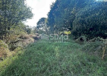 Rustico Castello d'Argile - foto 8