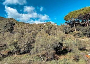 image00024-min.jpeg - Appartamento Via Madonnetta, Santa Margherita Ligure - foto 2