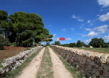 Terreno edificabile Str. Carlo, Martina Franca - foto 2