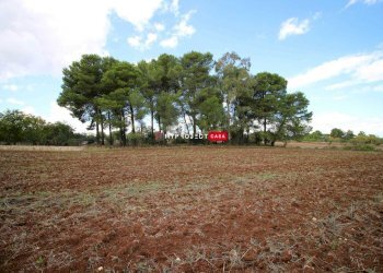Terreno edificabile Str. Carlo, Martina Franca - foto 4