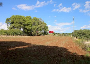 Terreno edificabile Str. Carlo, Martina Franca - foto 5