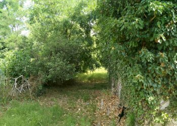 Rustico via piave, Mornago - foto 8