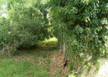 Rustico via piave, Mornago - foto 9