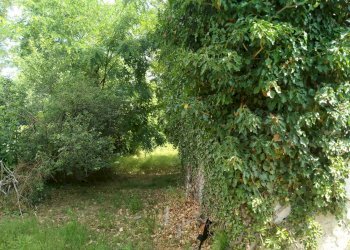 Rustico via piave, Mornago - foto 10