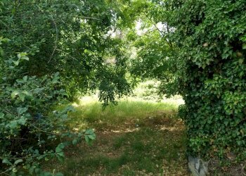 Rustico via piave, Mornago - foto 11