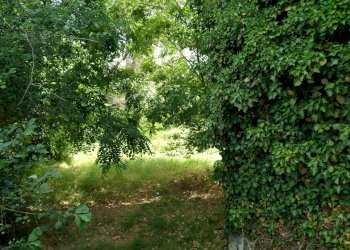 Rustico via piave, Mornago - foto 12