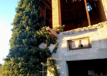 Rustico via piave, Mornago - foto 14