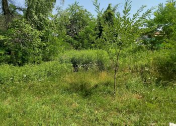 Rustico via piave, Mornago - foto 15