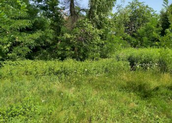 Rustico via piave, Mornago - foto 16