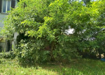 Rustico via piave, Mornago - foto 17