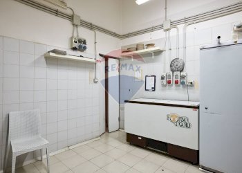 Bar - Tabacchi - Ricevitoria Via Francesco Selmi, Roma (zona Ponte Mammolo) - foto 17