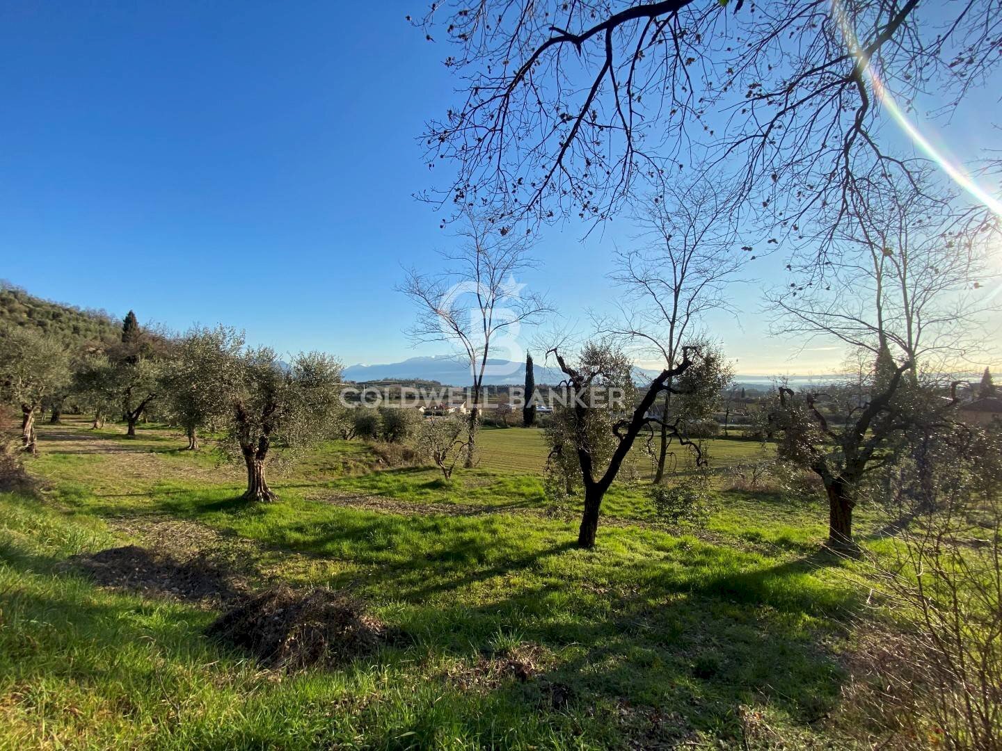 Terreno agricolo Via dei Ronchi, Polpenazze del Garda - foto 3