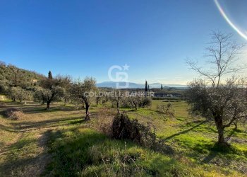 Terreno agricolo Via dei Ronchi, Polpenazze del Garda - foto 1