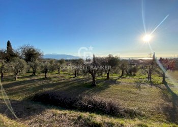 Terreno agricolo Via dei Ronchi, Polpenazze del Garda - foto 6