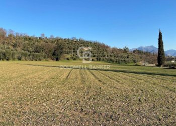 Terreno agricolo Via dei Ronchi, Polpenazze del Garda - foto 9