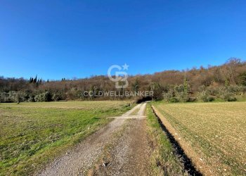 Terreno agricolo Via dei Ronchi, Polpenazze del Garda - foto 11