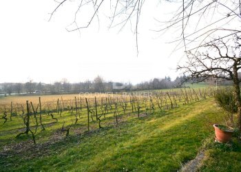 Rustico Via Toscanini, Calvagese della Riviera - foto 23