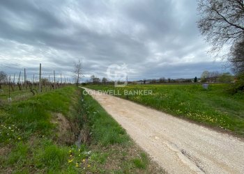 Terreno edificabile Via Carere, Manerba del Garda - foto 11
