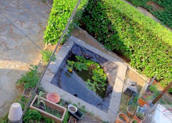 DSCF4952.JPG - Villa SP41 1, Pontinvrea - foto 10