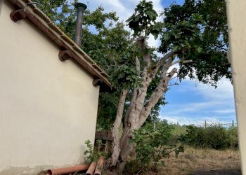 WhatsApp Image 2024-09-16 at 15.03.05 (7).jpeg - Casale Via di Vacciano, Impruneta - foto 11