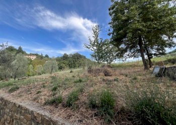 WhatsApp Image 2024-09-16 at 15.03.05 (9).jpeg - Casale Via di Vacciano, Impruneta - foto 14