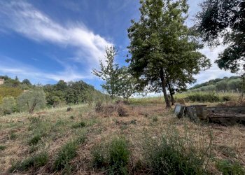 WhatsApp Image 2024-09-16 at 15.03.05 (10).jpeg - Casale Via di Vacciano, Impruneta - foto 15