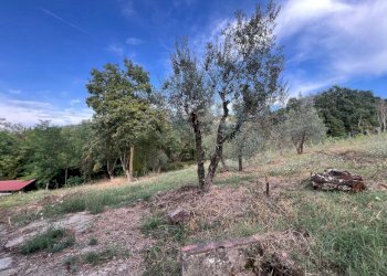 WhatsApp Image 2024-09-16 at 15.03.05 (11).jpeg - Casale Via di Vacciano, Impruneta - foto 16