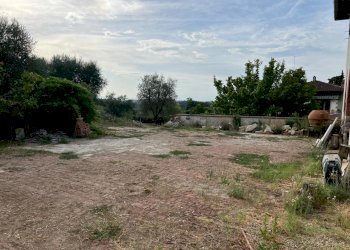 WhatsApp Image 2024-09-16 at 15.03.05 (17).jpeg - Casale Via di Vacciano, Impruneta - foto 17