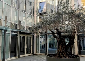 Appartamento Parma - foto 12