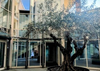 Office Parma - photo 2