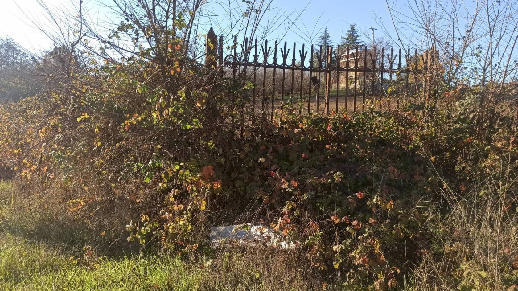 Terreno edificabile Carrù - foto 2