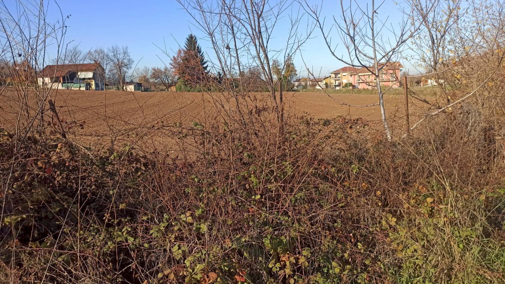 Terreno edificabile Carrù - foto 3