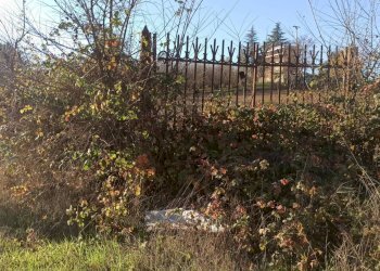 Terreno edificabile Carrù - foto 2