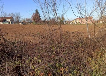 Terreno edificabile Carrù - foto 3