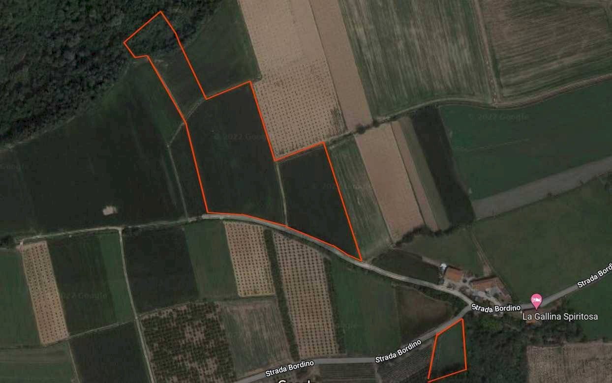 Terreno agricolo Carrù - foto 1